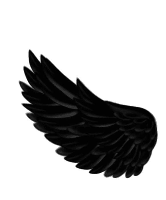Custom social icon