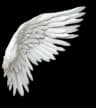 Custom social icon