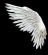 Custom social icon