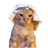 HABIBI