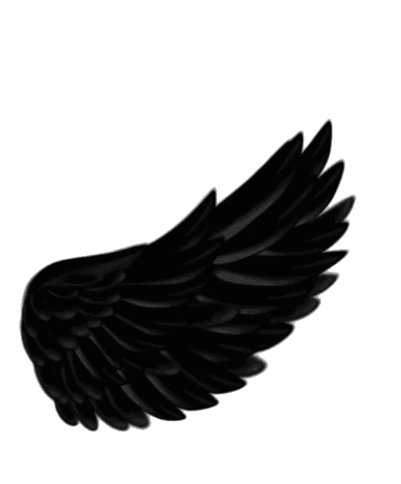 Custom social icon