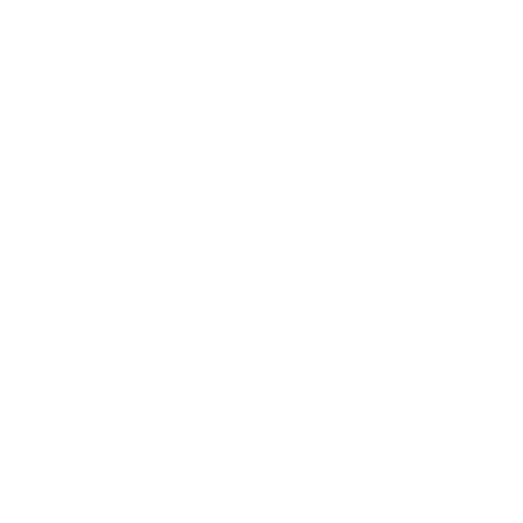 Custom social icon