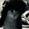 Custom social icon